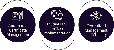 Integrating CLM for API Access Control