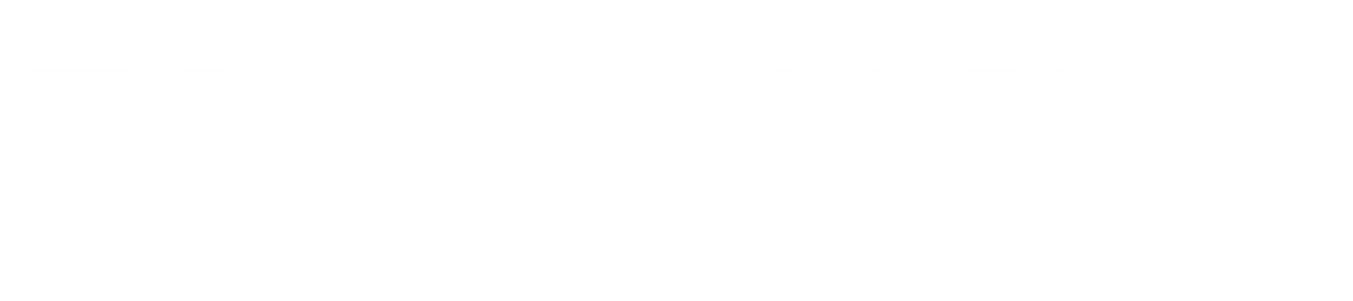 Accutive Global