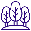 Forestry-Regeneration