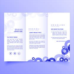 Brochure featuring circles in blue and white, offering cybersecurity insights from experts on post-quantum cryptography and data masking.