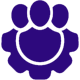 Professional-Services