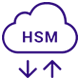 HSM-Migrations